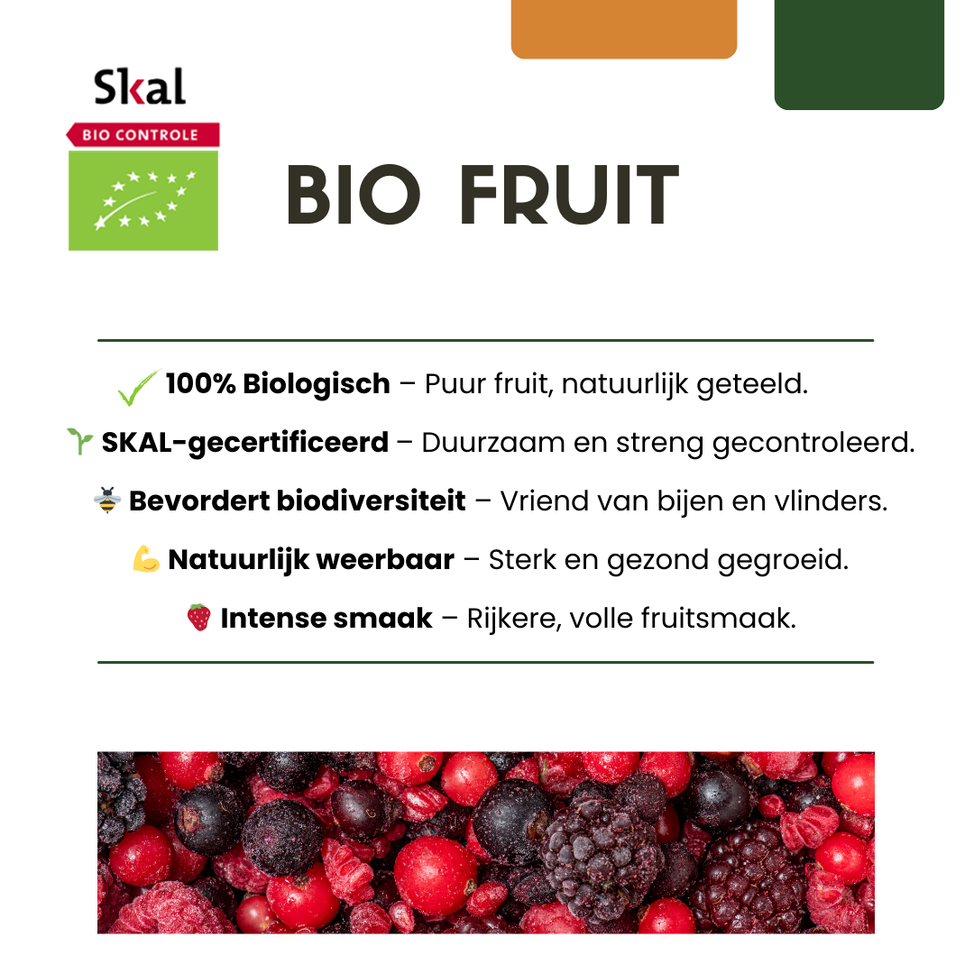 6 x Biologische Kruisbessenplanten - Ø 13 cm - ↨ 20 cm