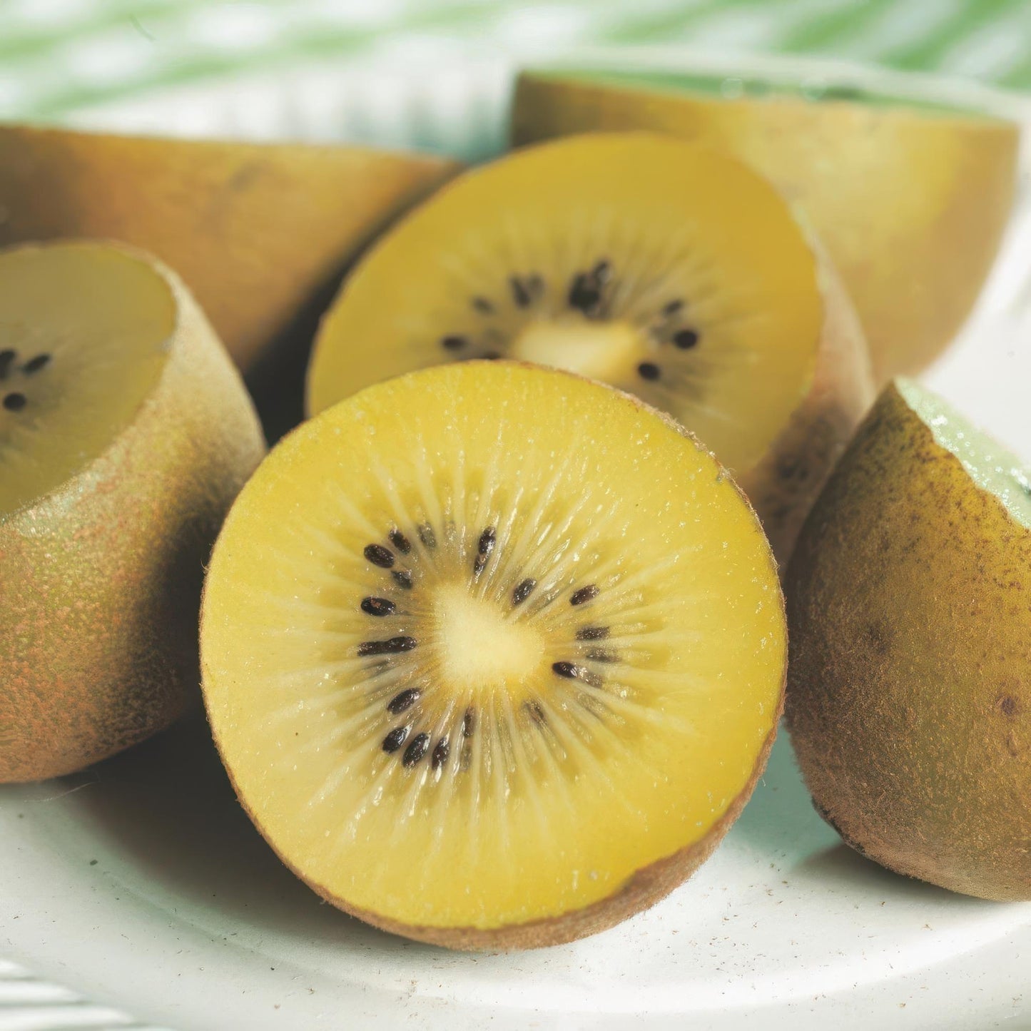 Green boutiQ - Fruitplant - Gele Kiwi - Actinidia deliciosa Golden Kiwi - Gele Vrucht - 2 planten - Pot 15cm Hoogte 50cm