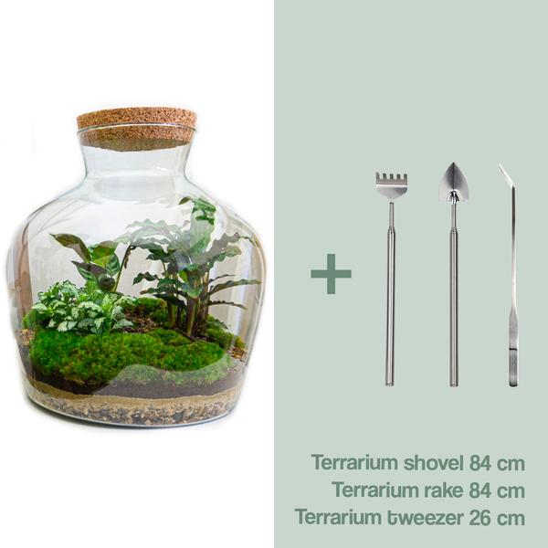 DIY terrarium - Fat Joe - ↕ 30 cm - Rake + Shovel + Tweezer