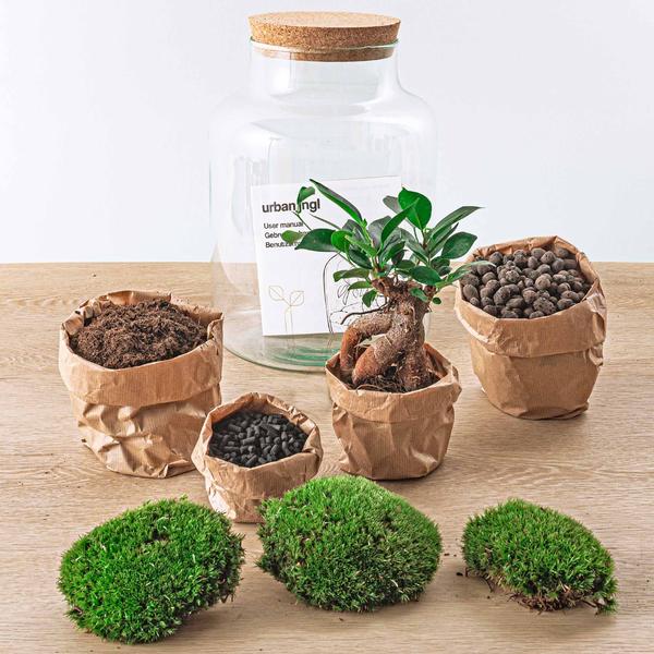 DIY terrarium - Milky met bonsai - ↕ 30 cm - Rake + Shovel + Tweezer + Scissors