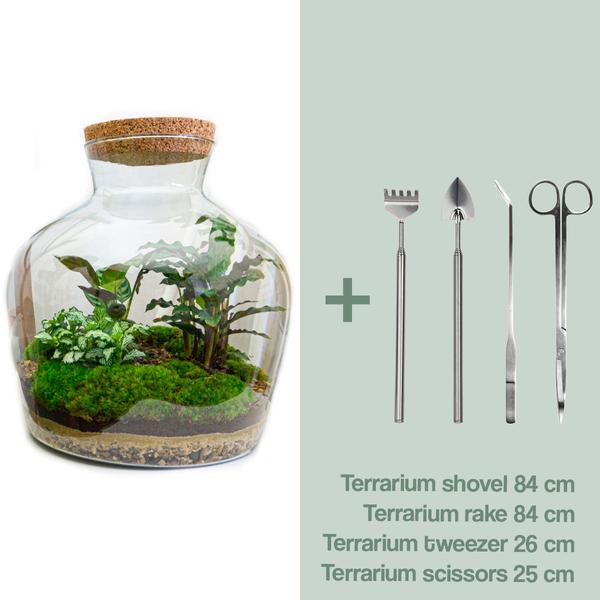 DIY terrarium - Fat Joe - ↕ 30 cm - Rake + Shovel + Tweezer + Scissors