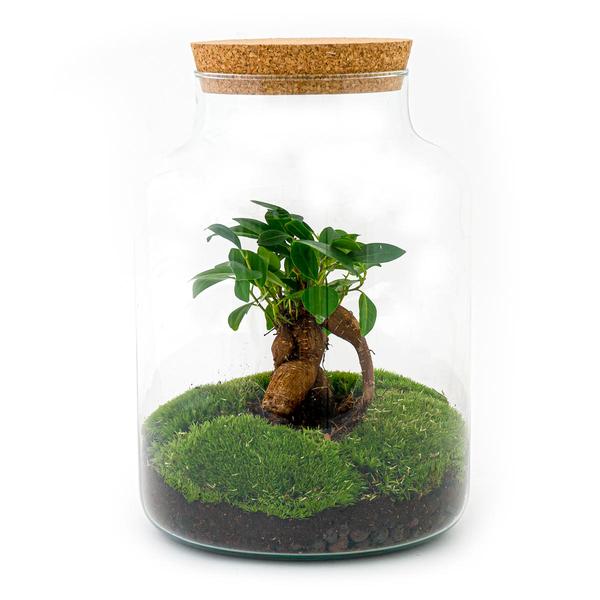 DIY terrarium - Milky met bonsai - ↕ 30 cm - Rake + Shovel + Tweezer + Scissors