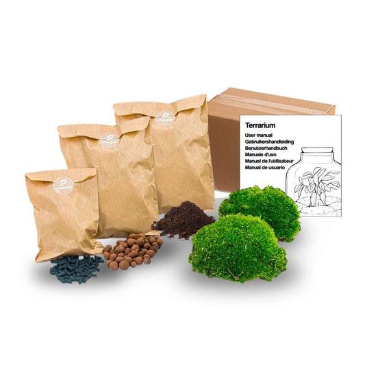 Planten terrarium - Navulling - Startpakket - DIY - Maat S/M