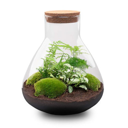 DIY terrarium - Sam XL - ↕ 35 cm - Rake + Shovel + Tweezer