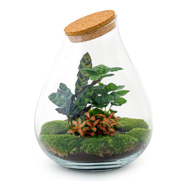 DIY terrarium - Drop XL Rood - ↕ 37 cm - Rake + Shovel