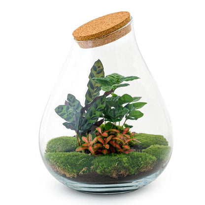 DIY terrarium - Drop XL Rood - ↕ 37 cm - Rake + Shovel