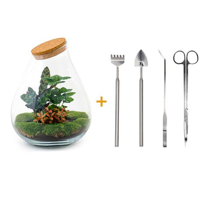 DIY terrarium - Drop XL Rood - ↕ 37 cm - Rake + Shovel + Tweezer + Scissors